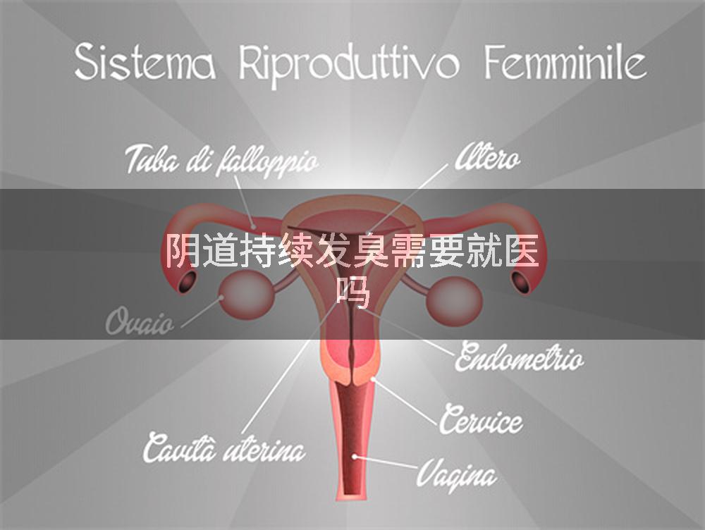 阴道持续发臭需要就医吗