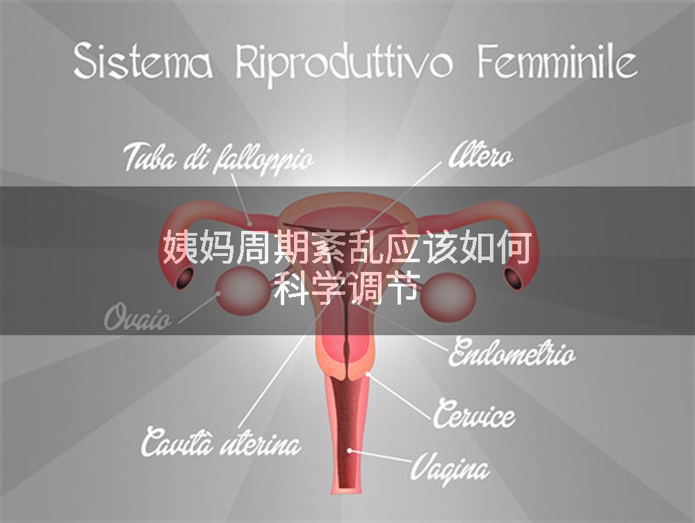 姨妈周期紊乱应该如何科学调节