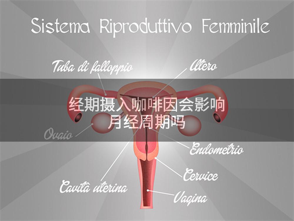 经期摄入咖啡因会影响月经周期吗