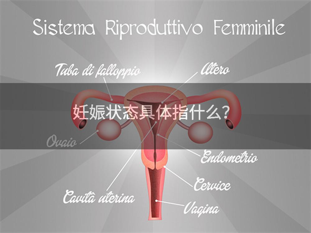 妊娠状态具体指什么？