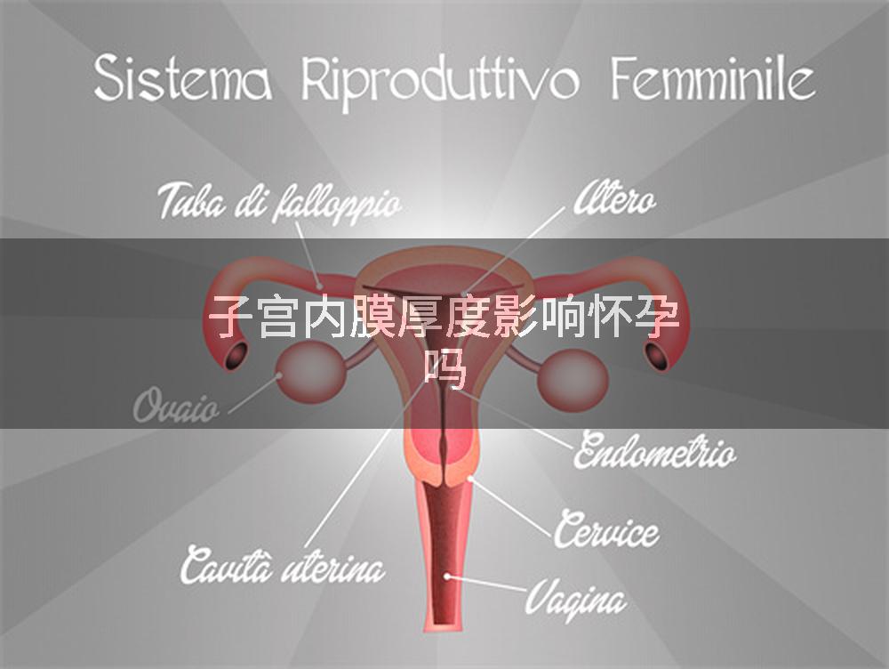 子宫内膜厚度影响怀孕吗