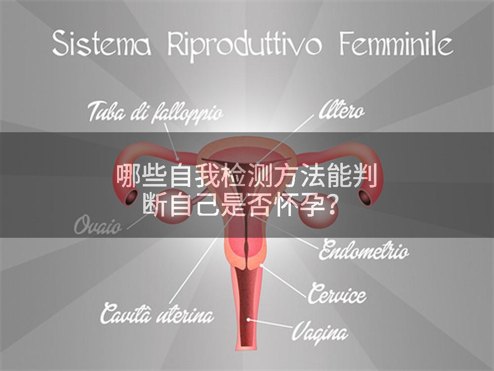 哪些自我检测方法能判断自己是否怀孕？