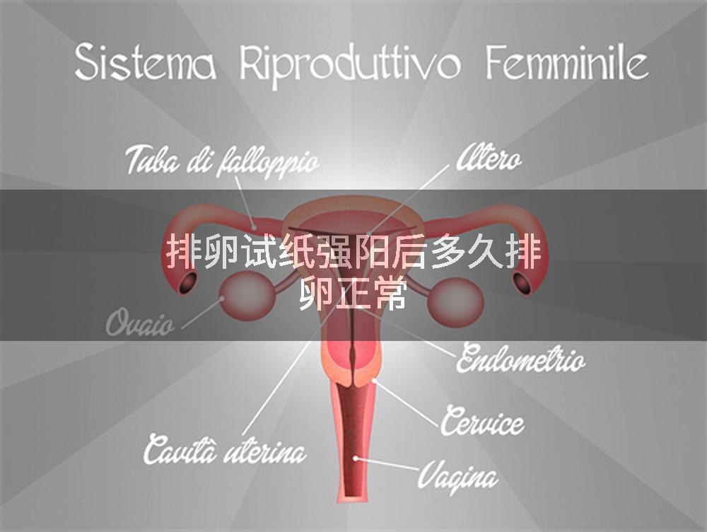 排卵试纸强阳后多久排卵正常