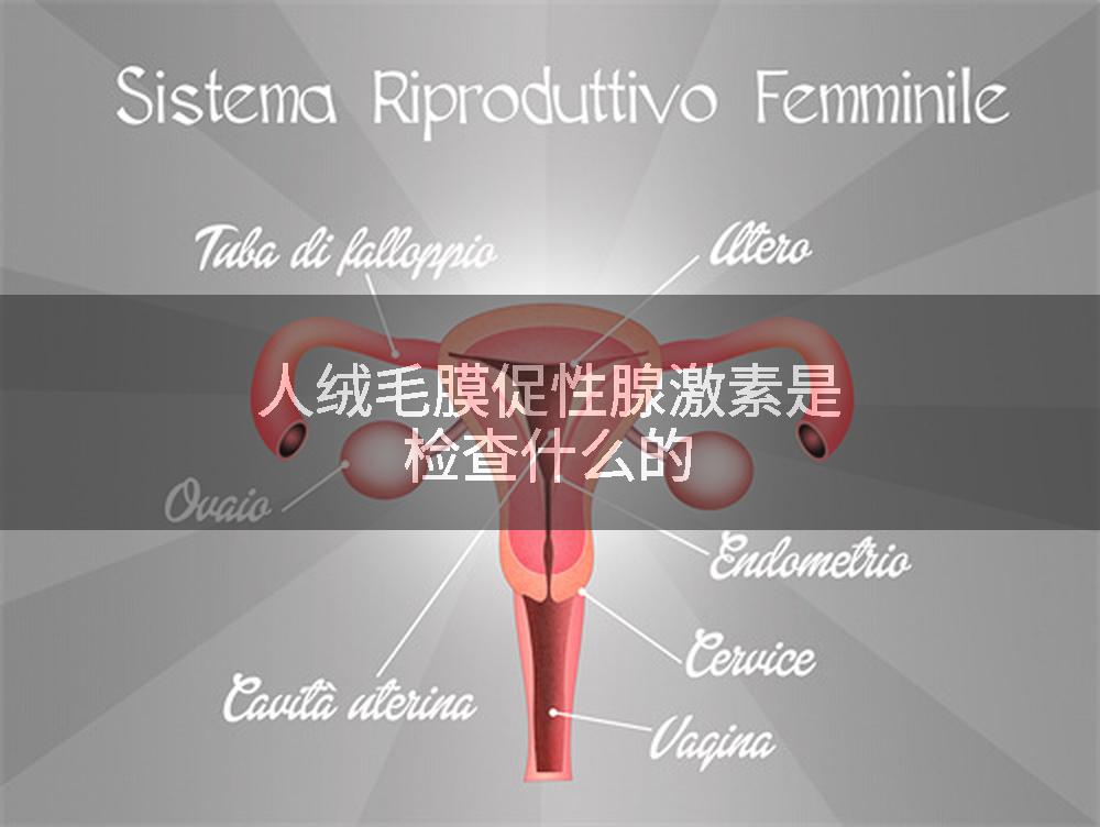 人绒毛膜促性腺激素是检查什么的