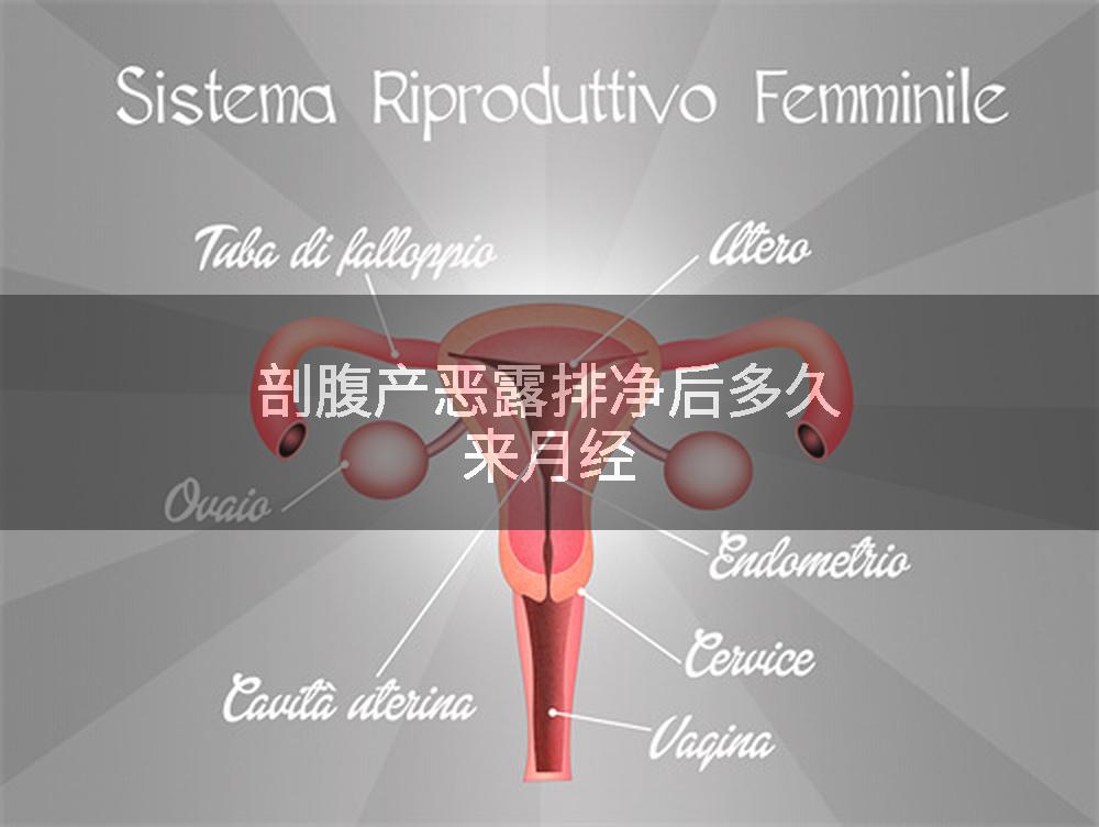 剖腹产恶露排净后多久来月经
