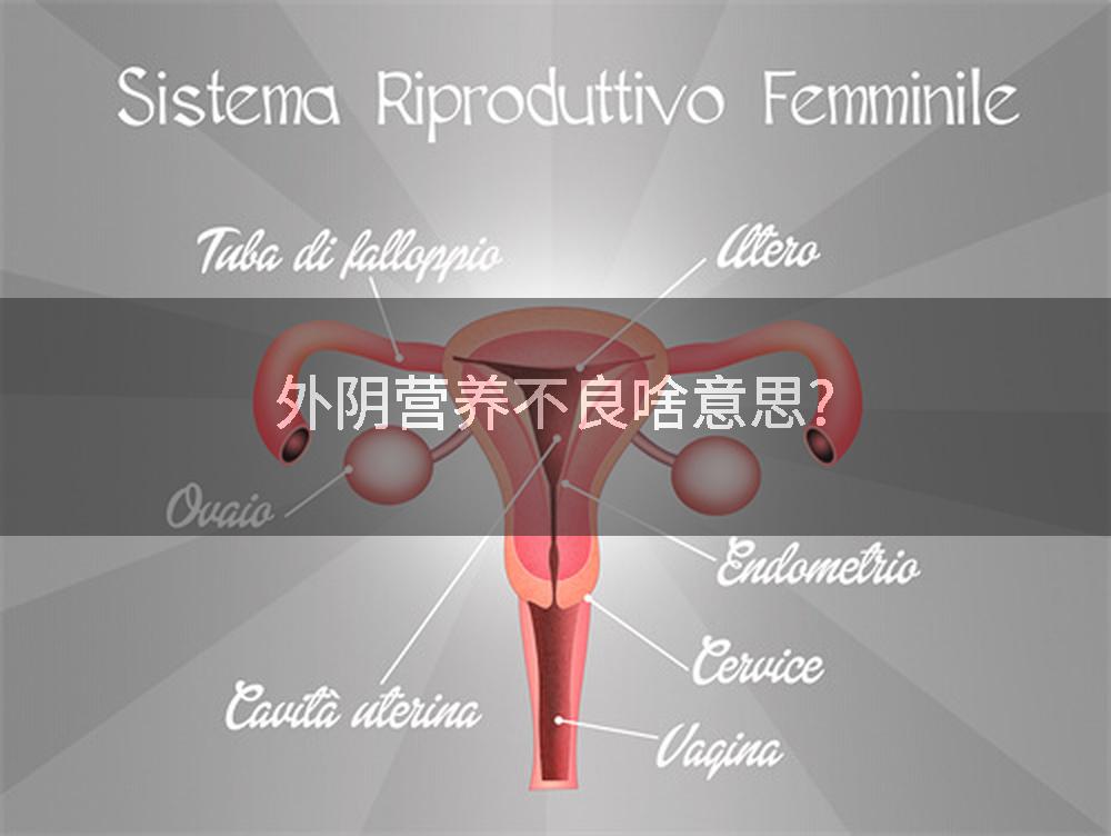 外阴营养不良啥意思?