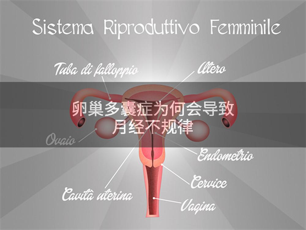 卵巢多囊症为何会导致月经不规律