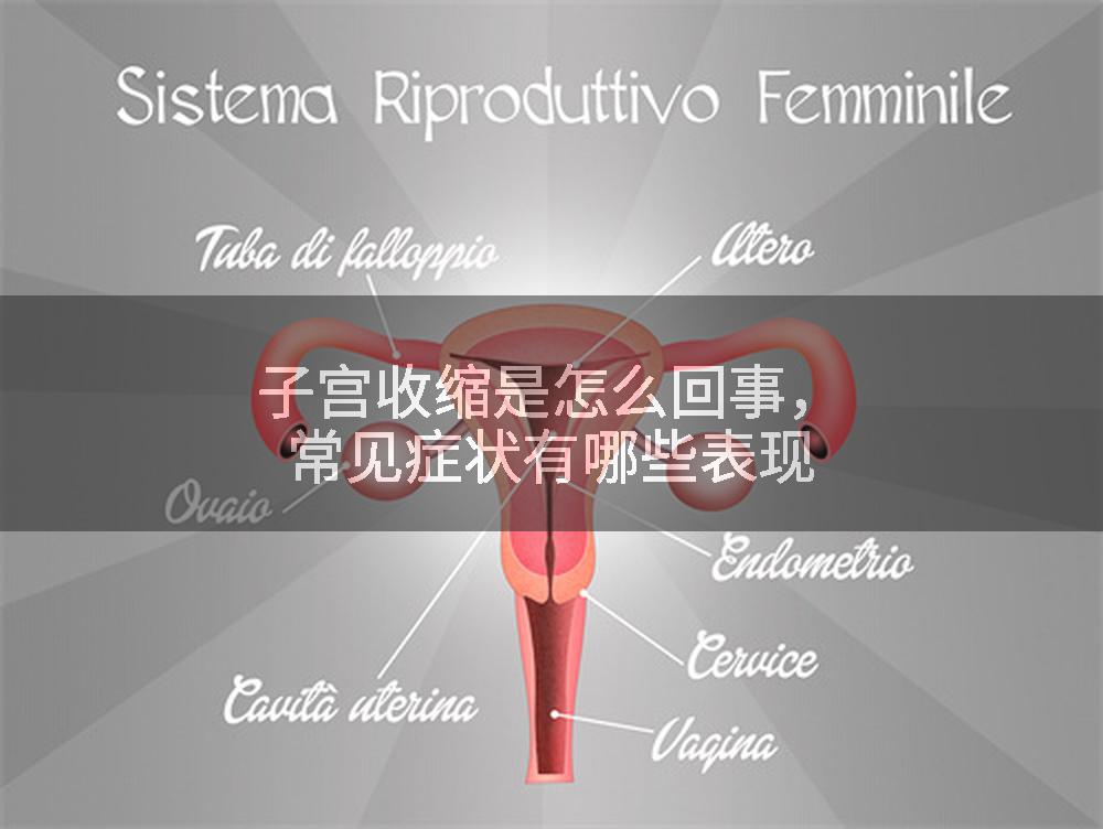 子宫收缩是怎么回事，常见症状有哪些表现