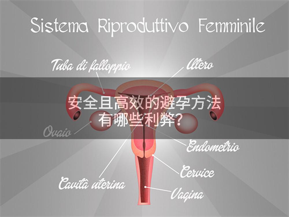 安全且高效的避孕方法有哪些利弊？