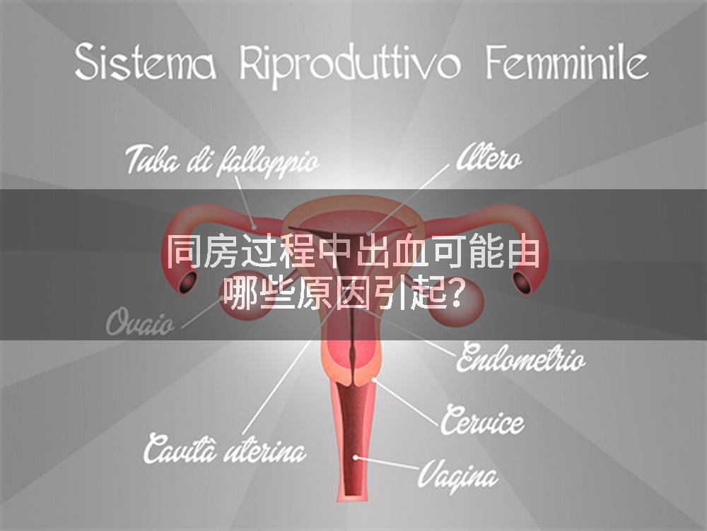 同房过程中出血可能由哪些原因引起？