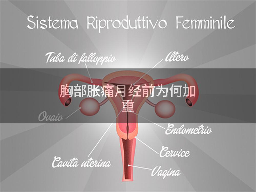 胸部胀痛月经前为何加重