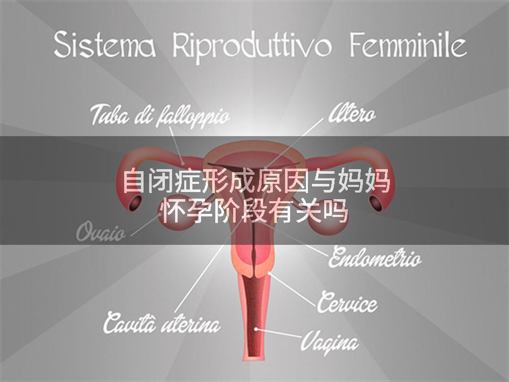 自闭症形成原因与妈妈怀孕阶段有关吗