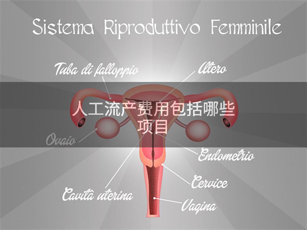 人工流产费用包括哪些项目