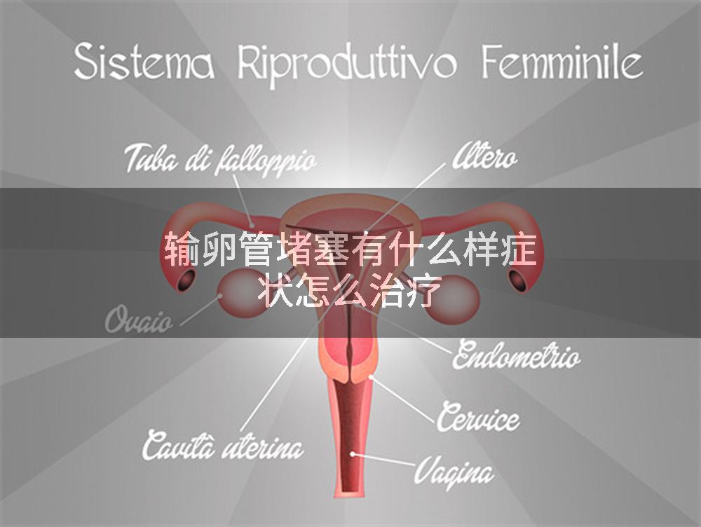 输卵管堵塞有什么样症状怎么治疗
