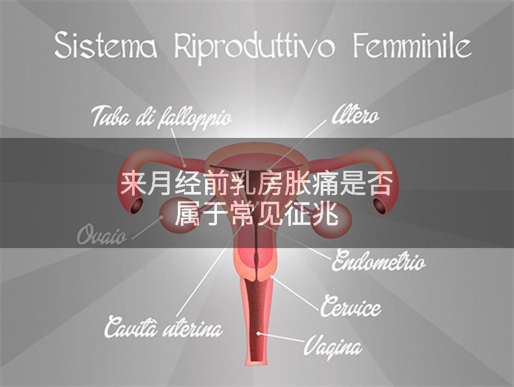 来月经前乳房胀痛是否属于常见征兆