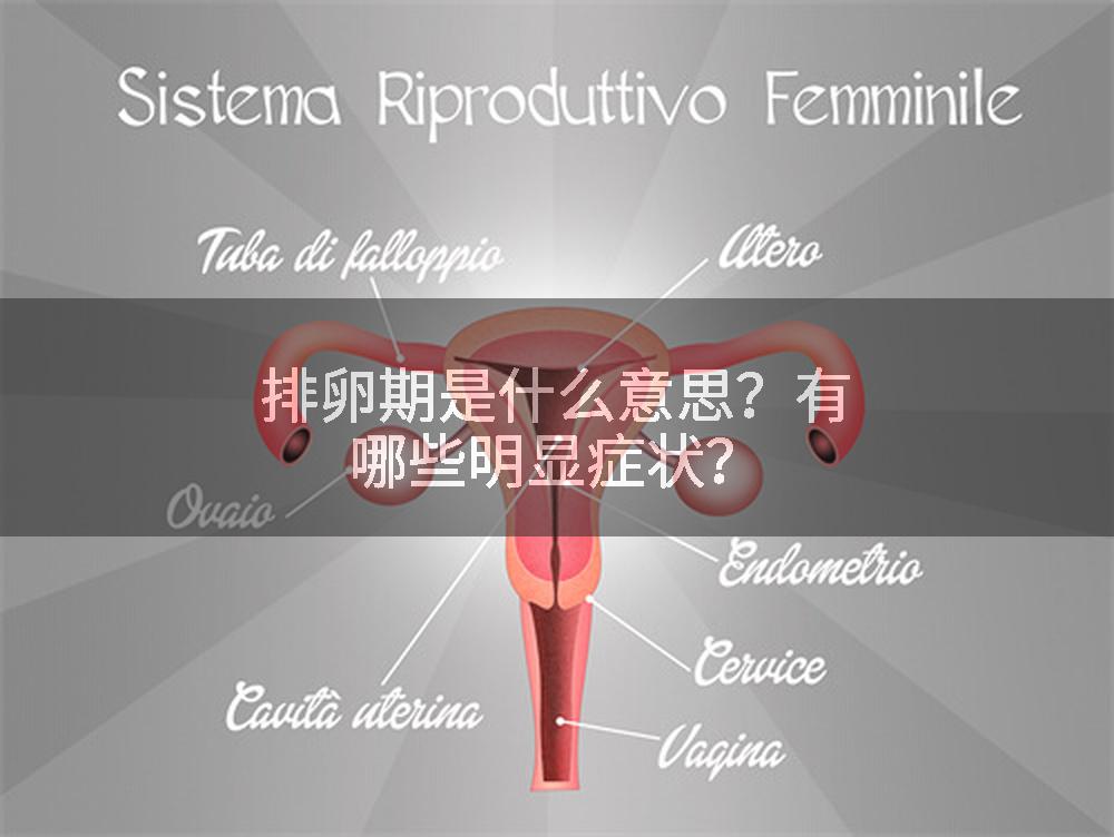 排卵期是什么意思？有哪些明显症状？
