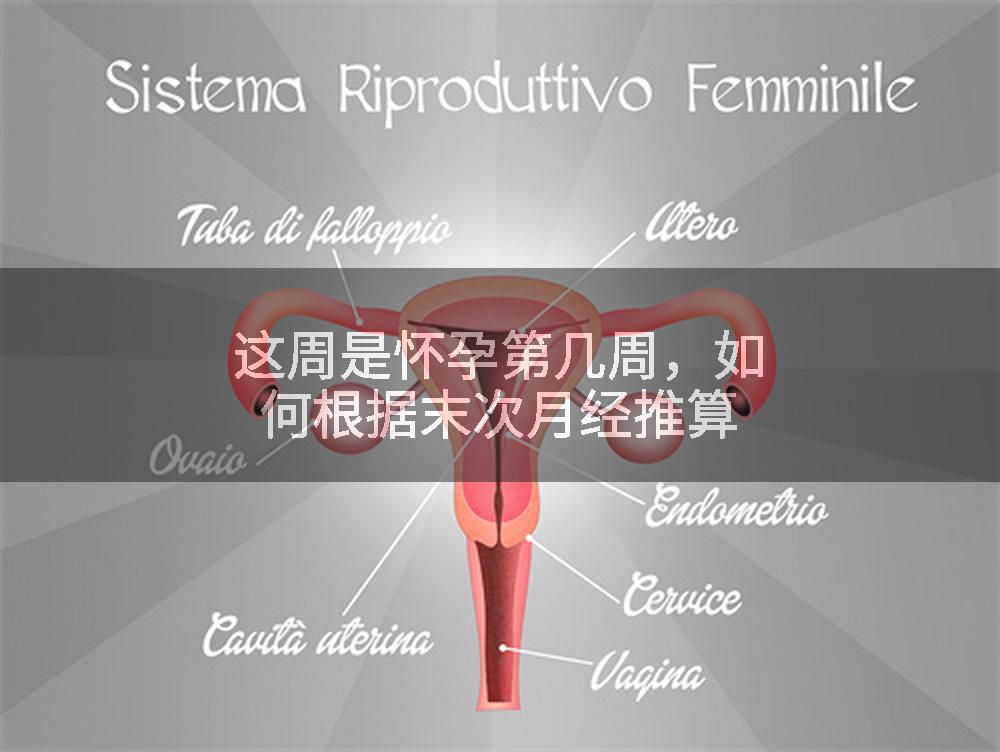 这周是怀孕第几周，如何根据末次月经推算