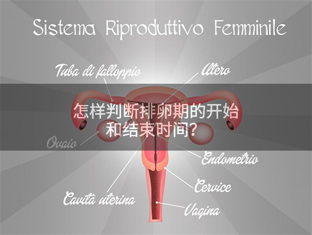 怎样判断排卵期的开始和结束时间？