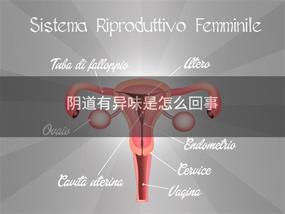 阴道有异味是怎么回事