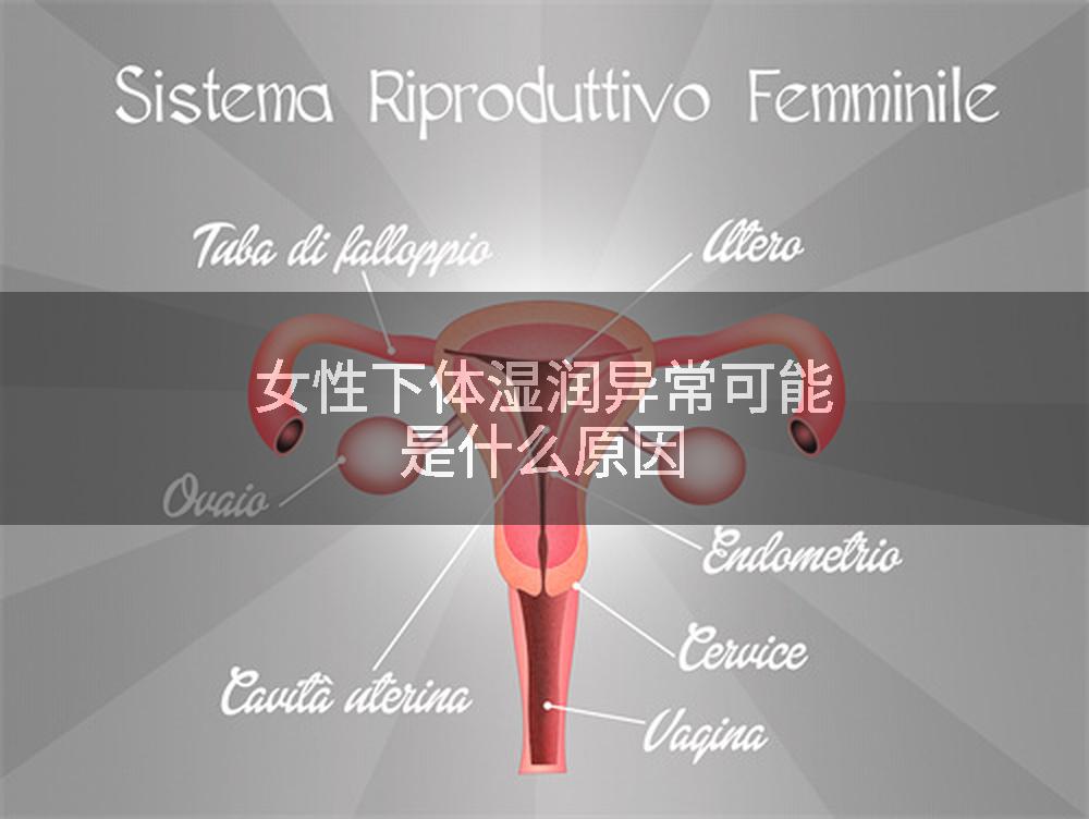 女性下体湿润异常可能是什么原因
