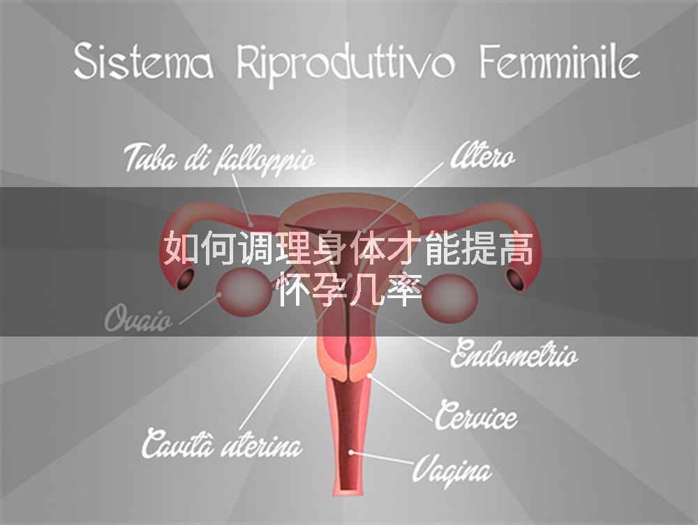 如何调理身体才能提高怀孕几率