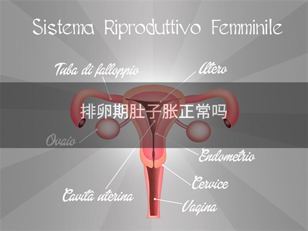 排卵期肚子胀正常吗