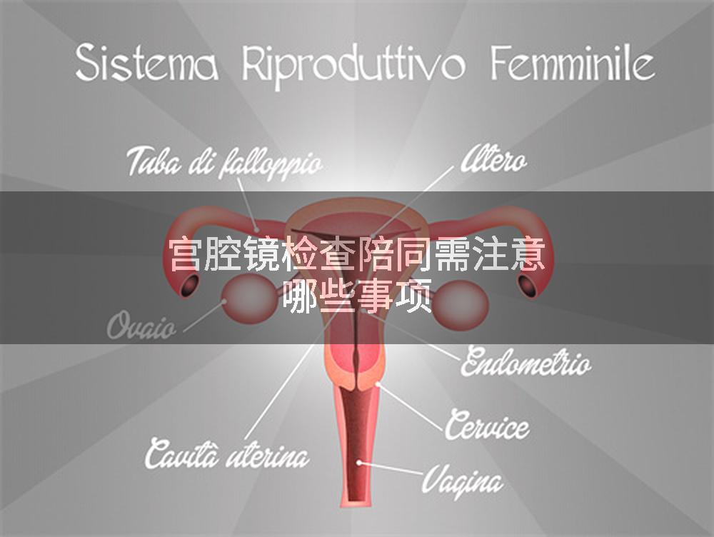 宫腔镜检查陪同需注意哪些事项