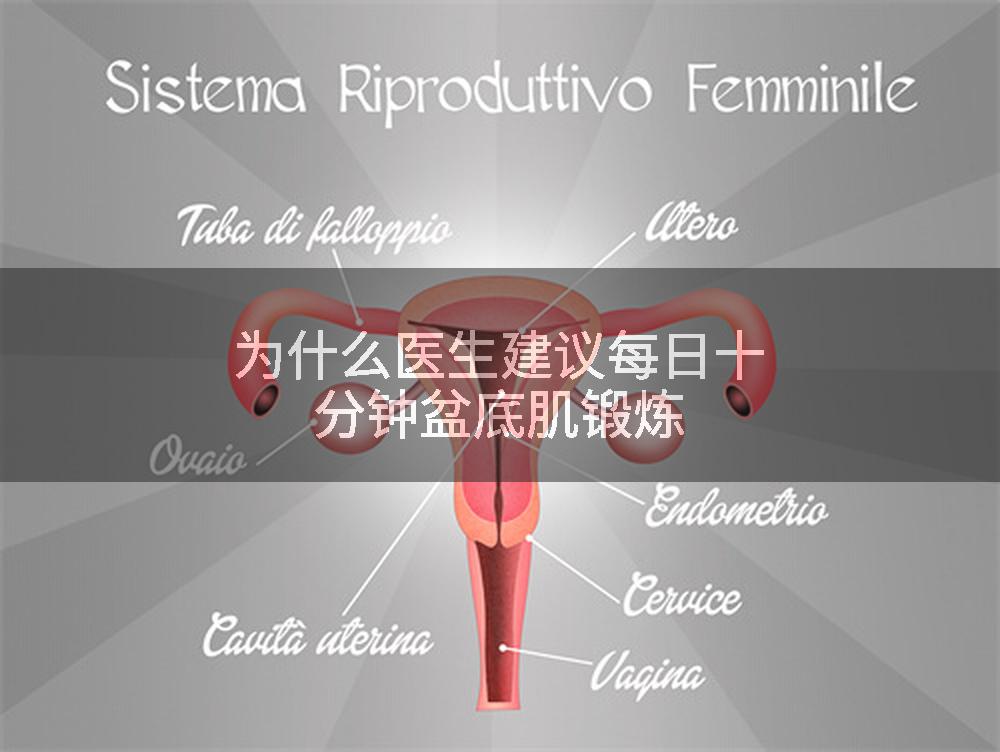 为什么医生建议每日十分钟盆底肌锻炼