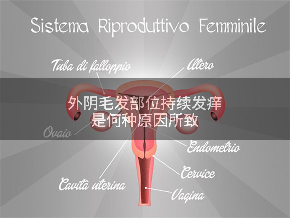 外阴毛发部位持续发痒是何种原因所致
