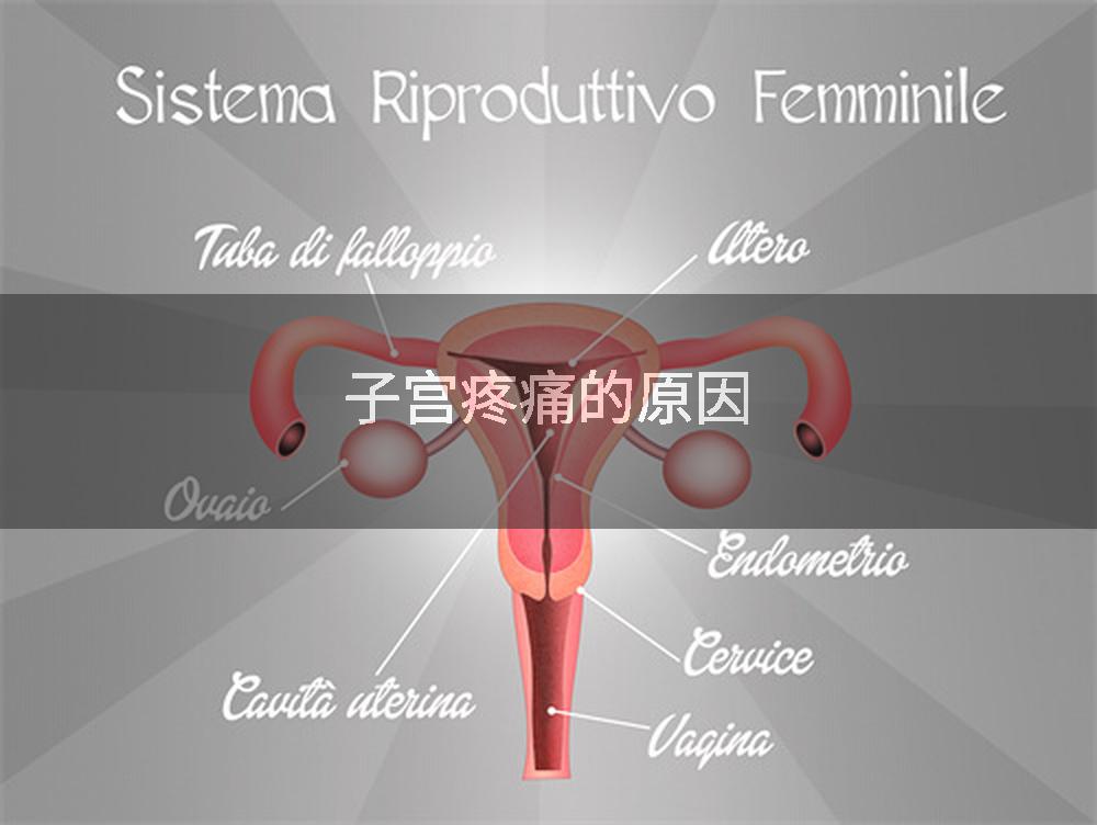子宫疼痛的原因