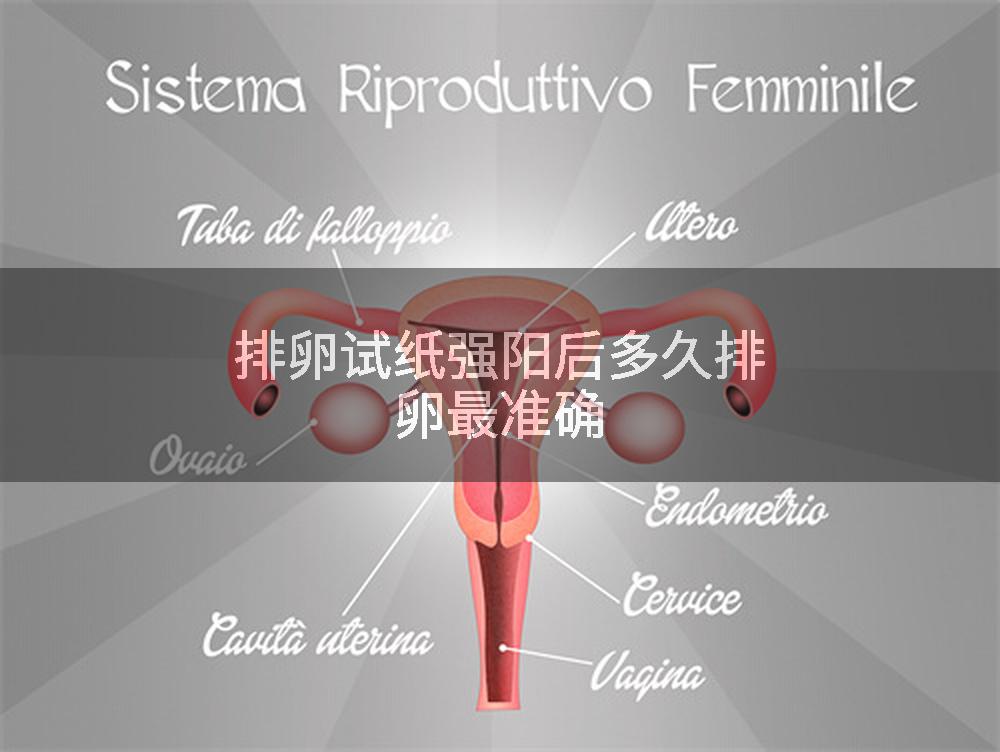 排卵试纸强阳后多久排卵最准确
