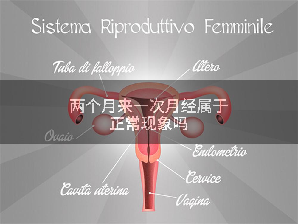 两个月来一次月经属于正常现象吗