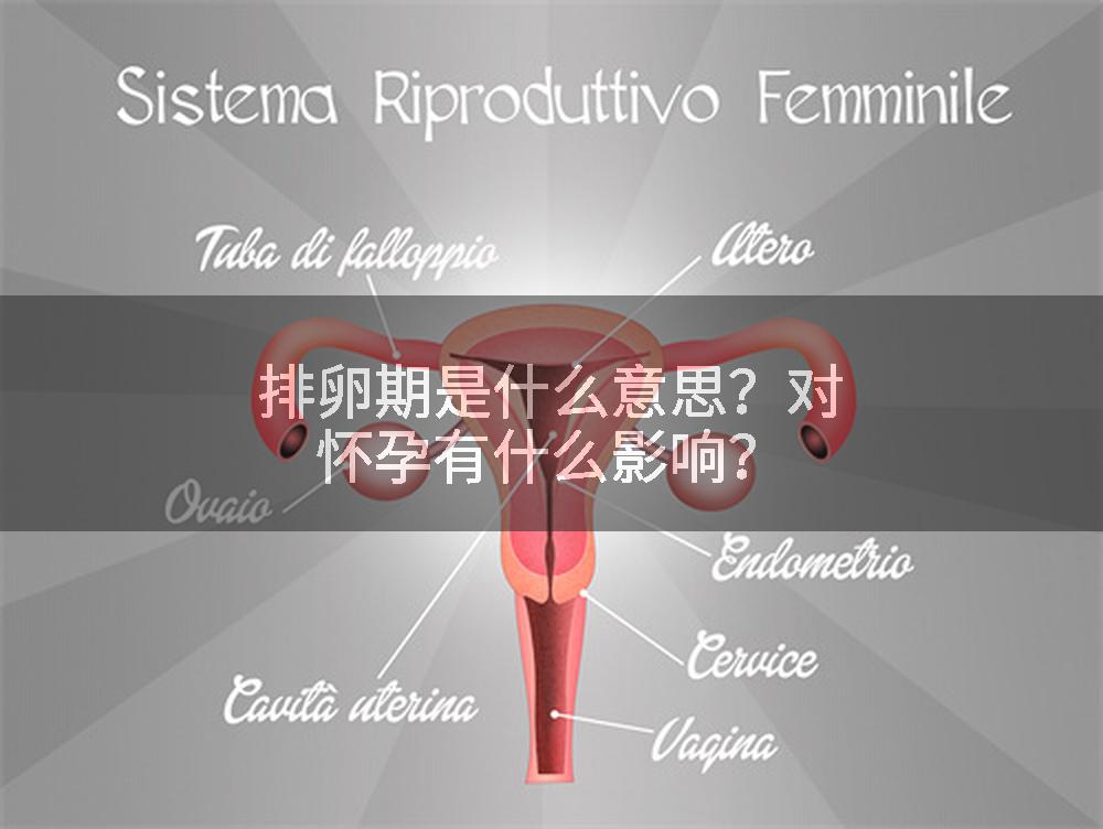 排卵期是什么意思？对怀孕有什么影响？