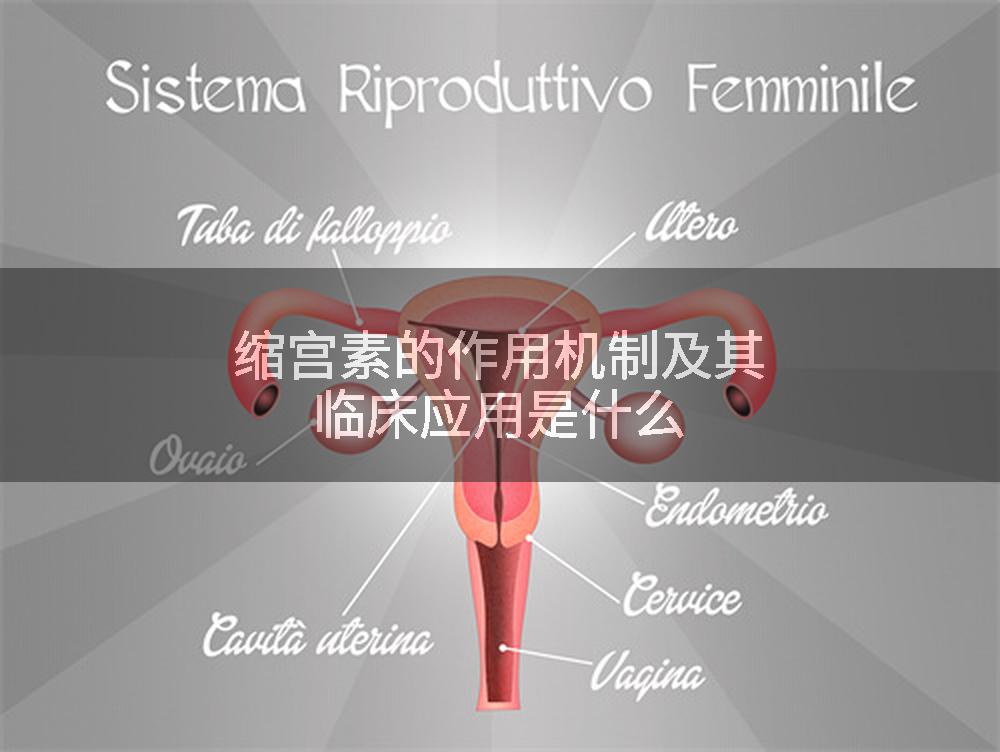 缩宫素的作用机制及其临床应用是什么