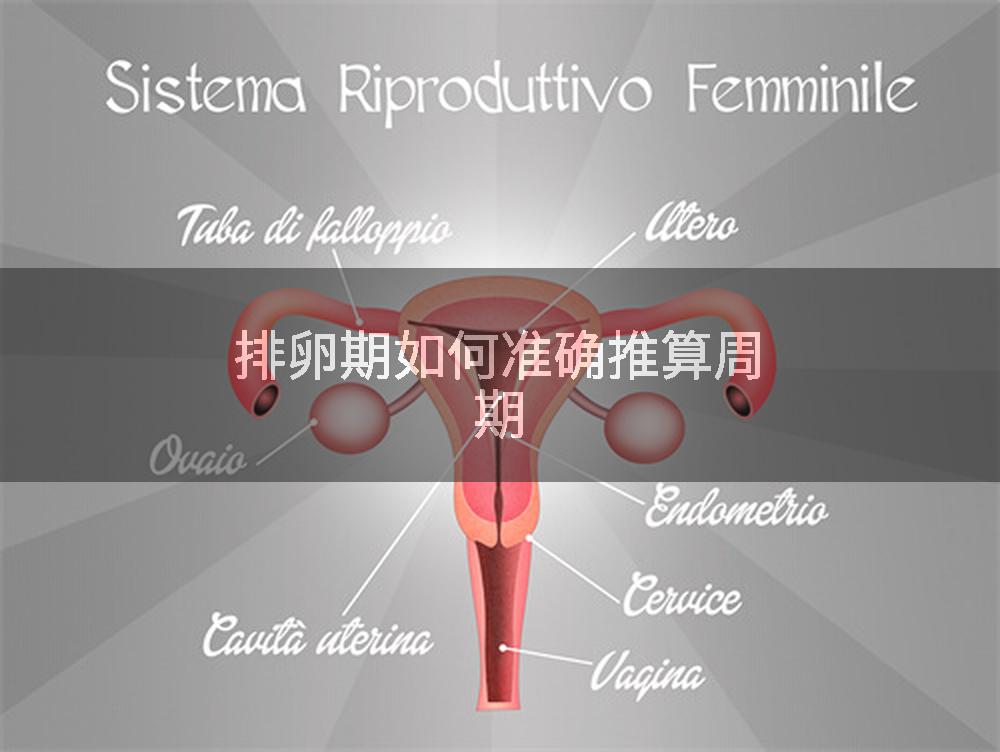 排卵期如何准确推算周期