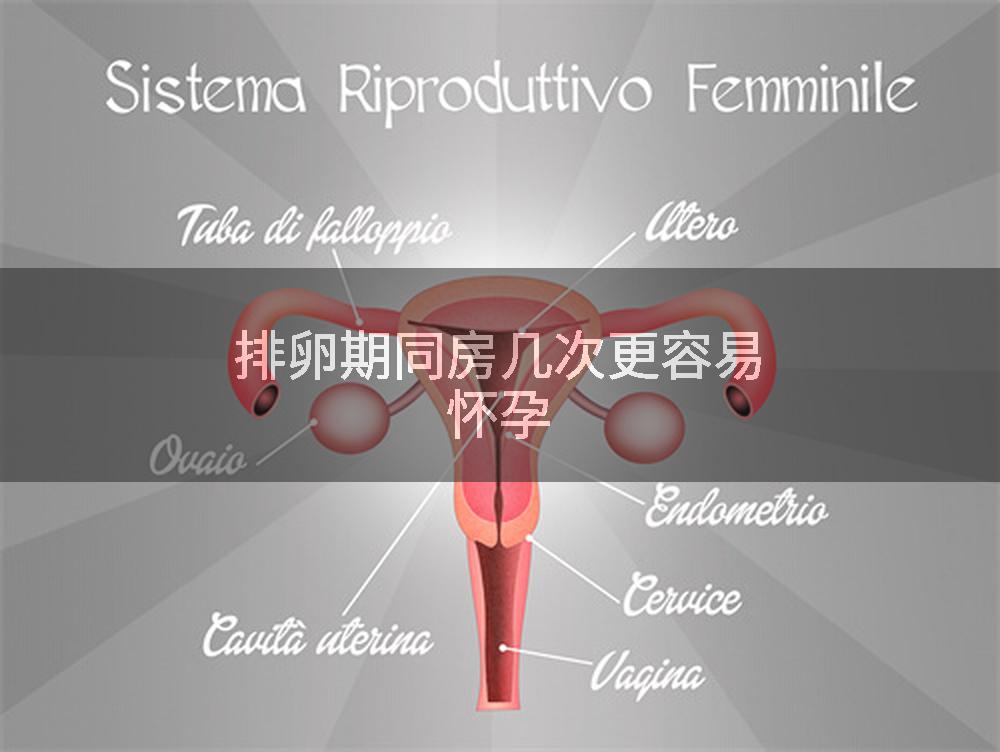 排卵期同房几次更容易怀孕