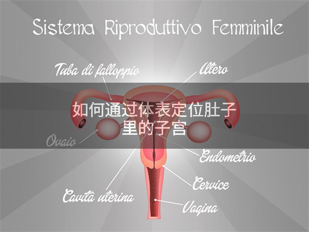 如何通过体表定位肚子里的子宫