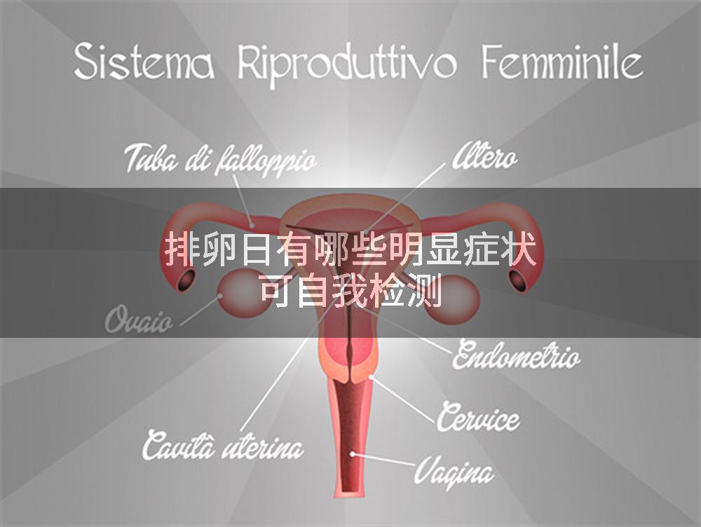 排卵日有哪些明显症状可自我检测