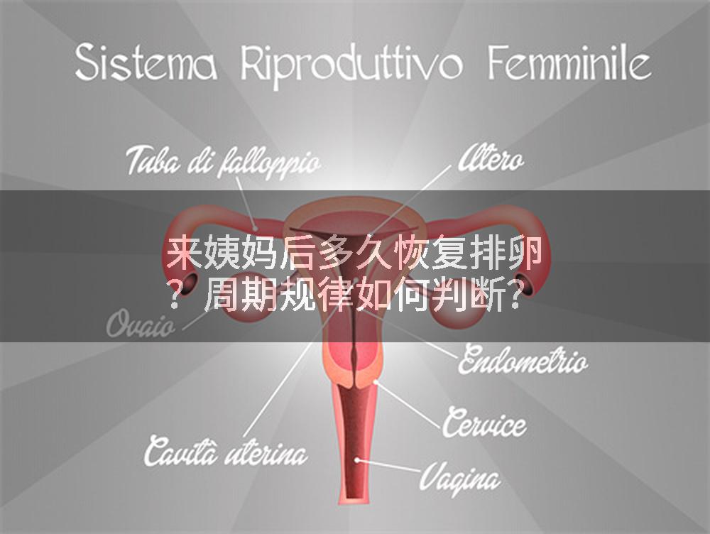 来姨妈后多久恢复排卵？周期规律如何判断？
