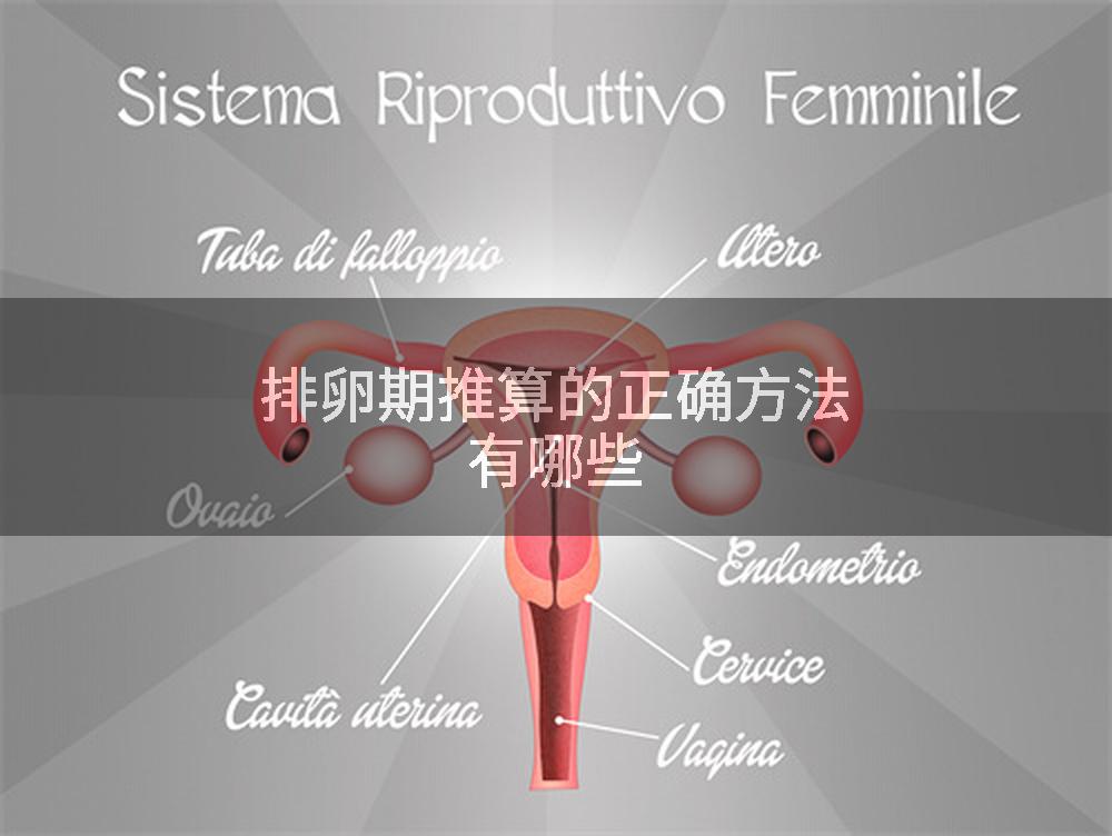 排卵期推算的正确方法有哪些