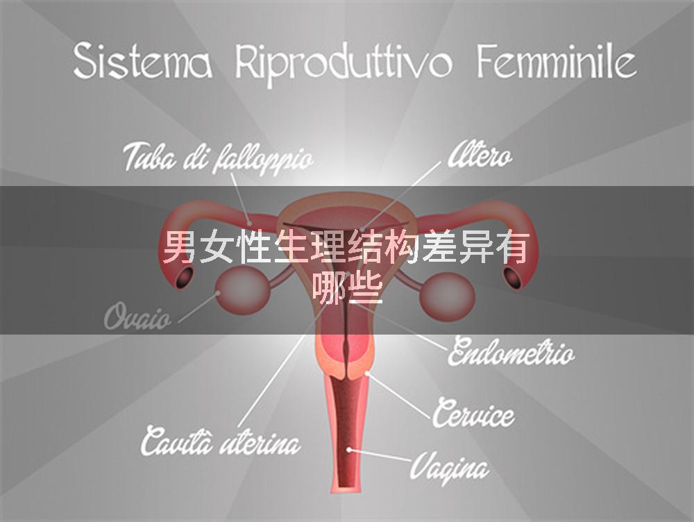 男女性生理结构差异有哪些