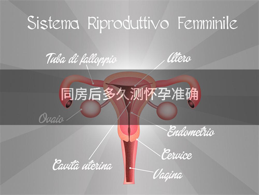 同房后多久测怀孕准确
