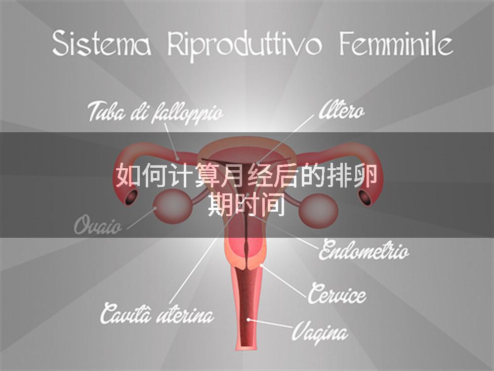 如何计算月经后的排卵期时间
