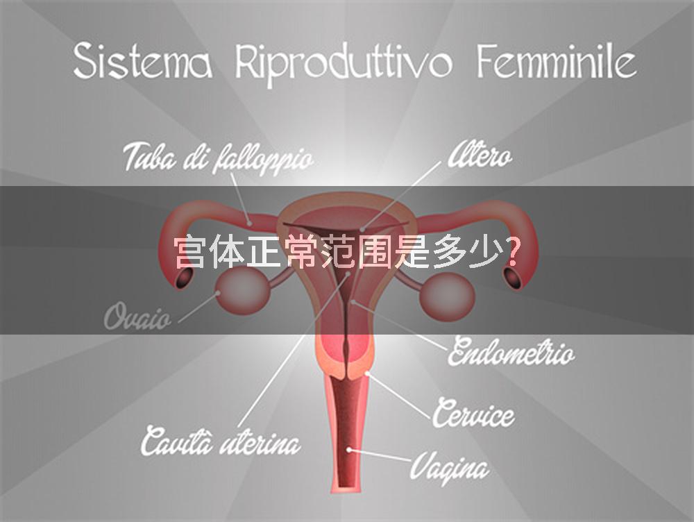 宫体正常范围是多少?