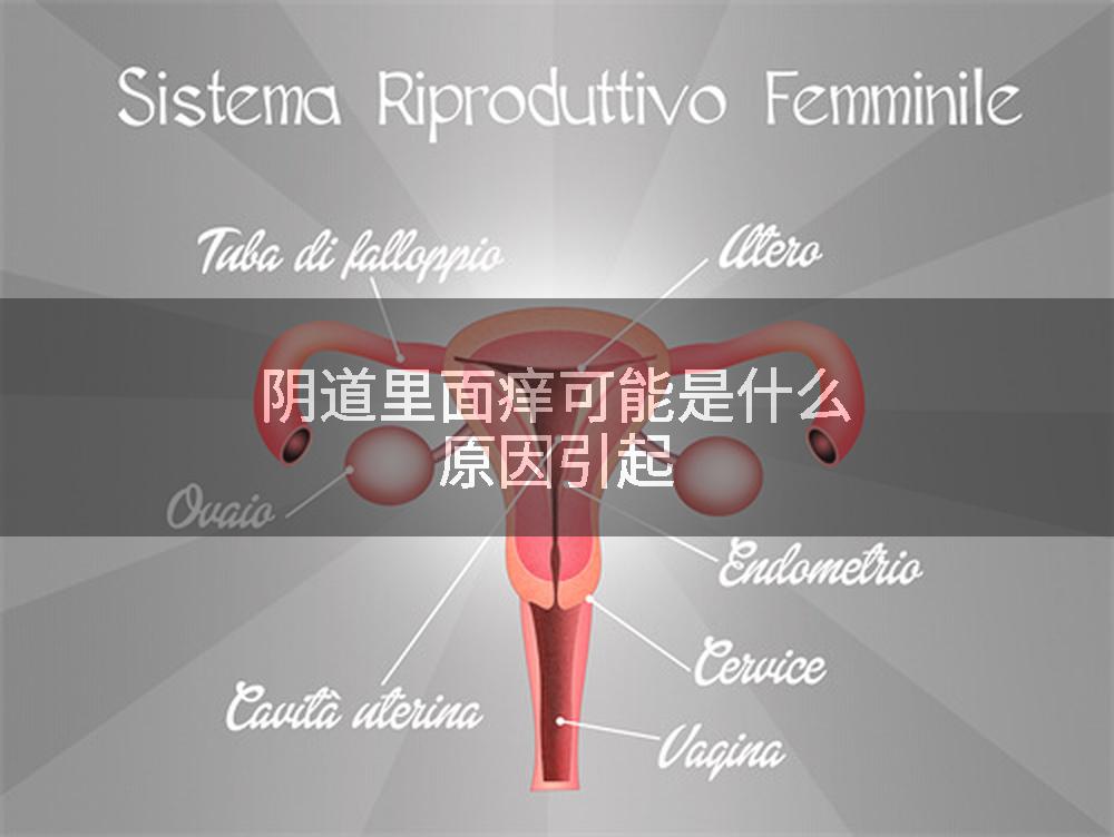 阴道里面痒可能是什么原因引起