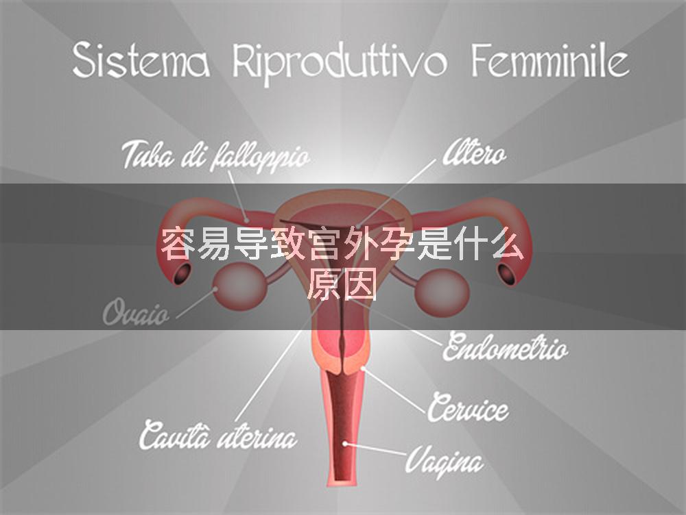 容易导致宫外孕是什么原因