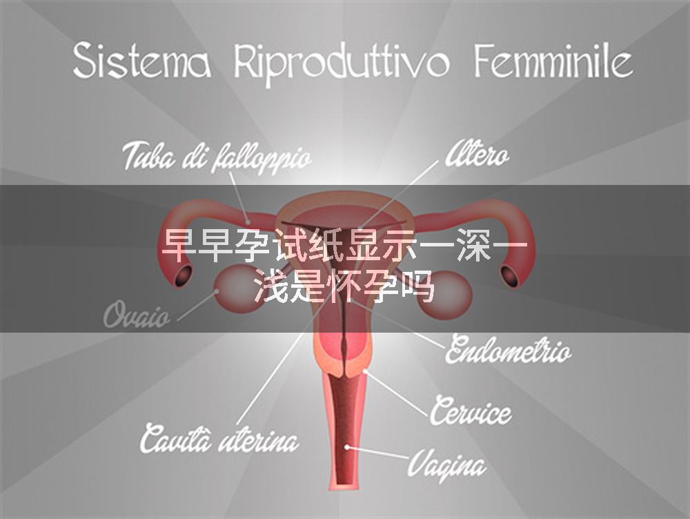 早早孕试纸显示一深一浅是怀孕吗
