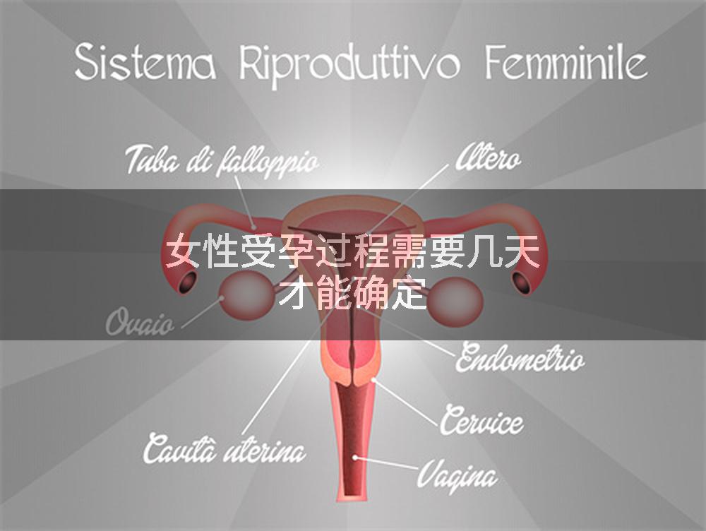 女性受孕过程需要几天才能确定