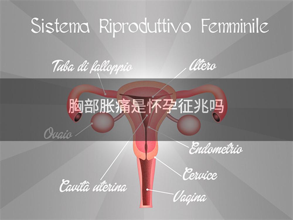 胸部胀痛是怀孕征兆吗