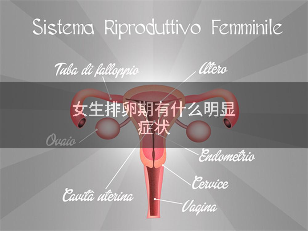 女生排卵期有什么明显症状